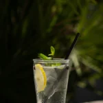 Gin tonic koktel serviran u highball čaši sa kolutom limuna (1)