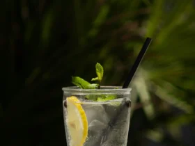 Gin tonic koktel serviran u highball čaši sa kolutom limuna (1)