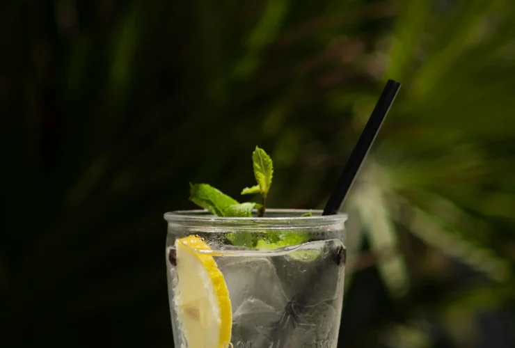 Gin tonic koktel serviran u highball čaši sa kolutom limuna (1)